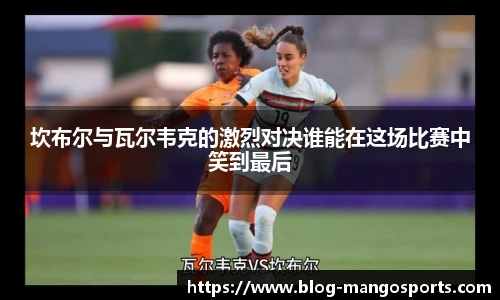 芒果体育官网入口