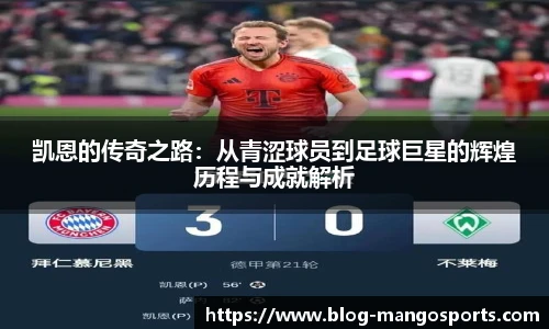 芒果体育官网入口