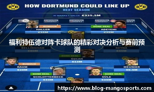 芒果体育官网入口